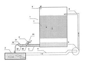 Freshwater protein skimmer