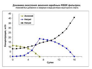 Динамика окисления аммония аэробным RBBR фильтром.