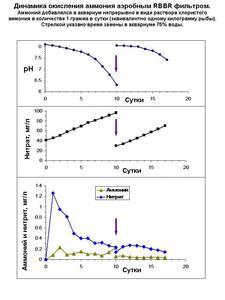 Динамика становления аэробного RBBR фильтра