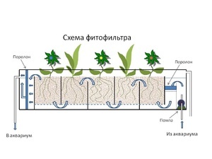 схема фитофильтра