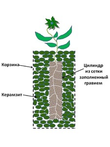 Корзина с керамзитом и гравием для фитофильтра