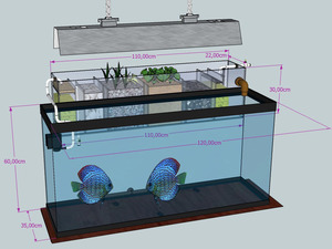 Omar's UniqueSUMP5+Aquarium