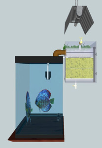 2.Omar's UniqueSUMP5+Aquarium (Right)