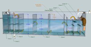 Omar's UniqueSUMP6 FlowDirection