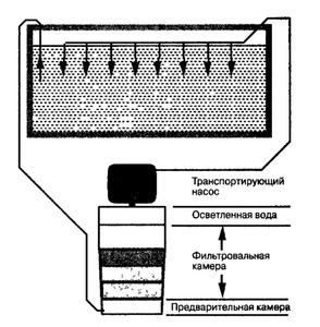 внешник