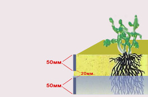 Omar's Refugium WaterLevel1