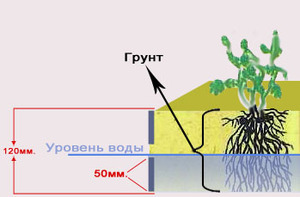 Omar's Refugium WaterLevel2