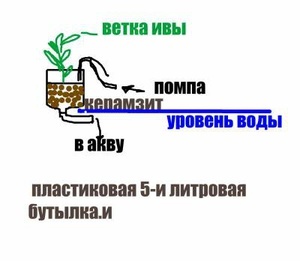 схема фитофильтра