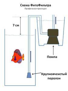 Схема фитофильтра