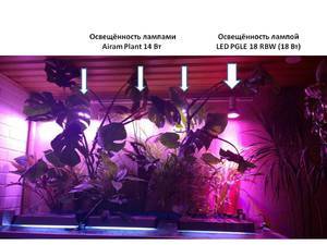 Энергосберегающая и светодиодная лампы для фитофильтра