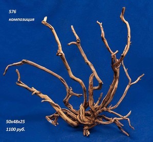 Коряги для аквариумов,террариумов, живые деревья.