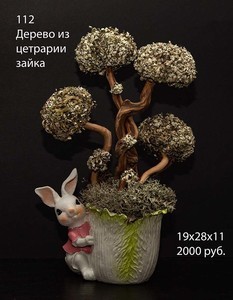 Коряги для аквариумов,террариумов, живые деревья.