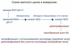 для форума