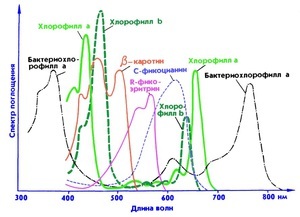 Спектр для водорослей