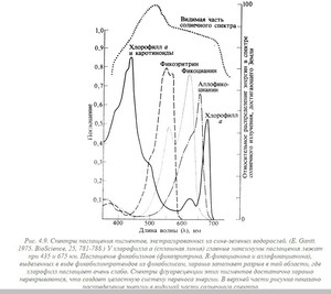 Спектр для водорослей