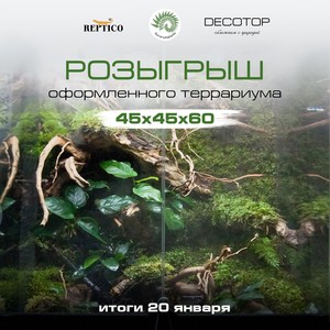 Распродажи и розыгрыши. Грунты, камни, коряги, органика и наполнители DECOTOP