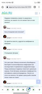 Опухоль/шишка на голове золотой рыбки