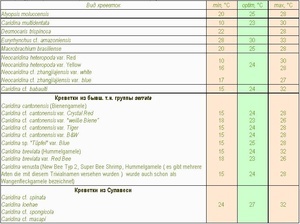 температура воды для креветок