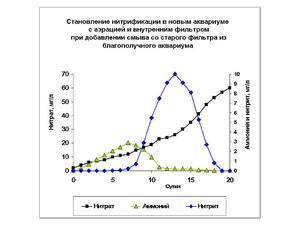 Становление нитрификации