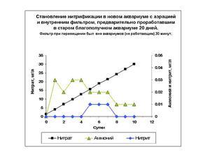 Становление нитрификации