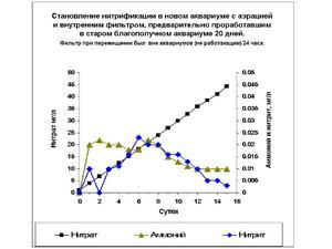 Становление нитрификации