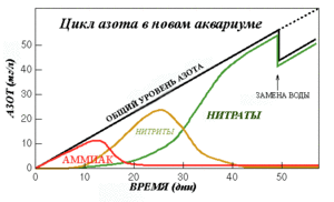 цикл