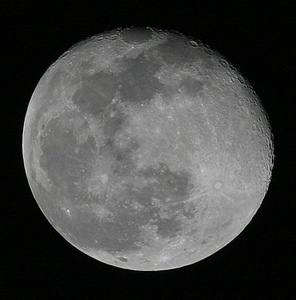 Florida moon