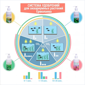 Перестали расти Бликсы: Японская, Новогвинейская, Обера.