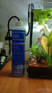 Dennerle BIO 60 CO2 StarterSet: вопросы, запуск