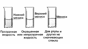 Первый травник на сойле