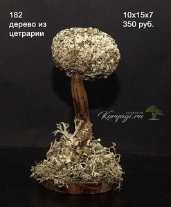 Коряги для аквариумов, террариумов, живые деревья.