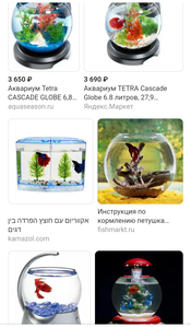 Моя планета BETTA