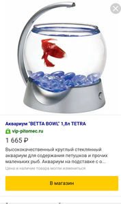 Моя планета BETTA