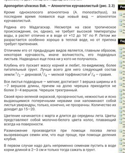 В 50-60-70-80е аквариумы колосились без всяких САМПов , внешников , УДОшек и суперпуперКондиционеров