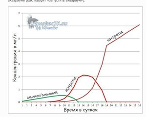 помогите плз