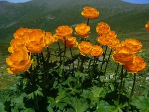 Дороги сплелись в тугой клубок влюбленных змей (с)