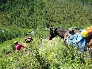 Дороги сплелись в тугой клубок влюбленных змей (с)