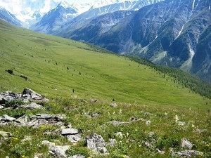 Дороги сплелись в тугой клубок влюбленных змей (с)