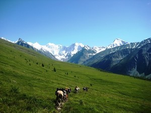 Дороги сплелись в тугой клубок влюбленных змей (с)