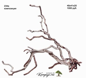 Коряги для аквариумов, террариумов, живые деревья.