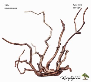 Коряги для аквариумов, террариумов, живые деревья.