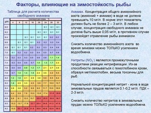 Апистограммы не живут дольше полу года