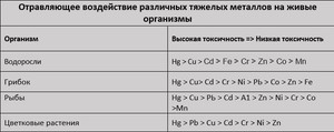 Окатанная галька - пригодность для растений.