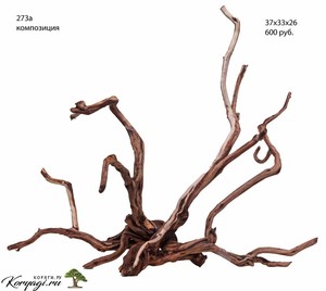 Коряги для аквариумов, террариумов, живые деревья.