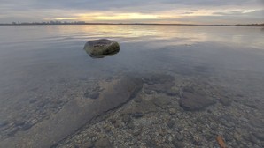 2. Принципы гармоничного расположения камней в аквариуме