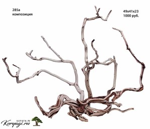 Коряги для аквариумов, террариумов, живые деревья.