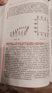 3. Принципы расположения коряг в аквариуме