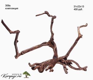 Коряги для аквариумов, террариумов, живые деревья.